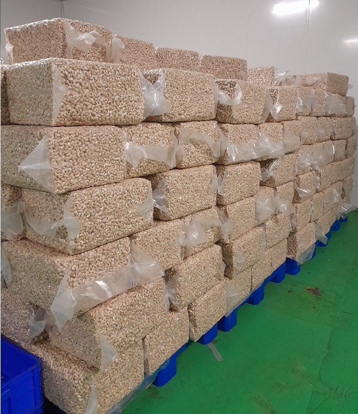 Cracking the Code Understanding Cashew Nut Export and Import Standards