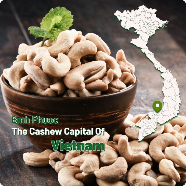 organic-cashew